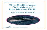 The Bottlenose Dolphins of the Moray Firth · Use the ‘Bottlenose Dolphins of the Moray Firth’ poster to ... to help stop these ... more boats to the Moray Firth - this may mean