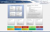 OMC SAP-Support-Modell Application Support und AMS Nov132.pdf · PDF fileForms SapScript Smartforms Adobe Printforms Adobe Interactive Forms Authorizations ... ABAP Programmierung