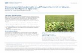 Doveweed (Murdannia nudiflora) Control in Warm- … · Doveweed (Murdannia nudiflora) Control in Warm- ... (Murdannia nudiflora) Control in Warm-Season Turfgrass Species 2 ... two