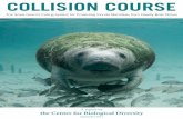 Collision Course: The Government’s Failing System for ... · COLLISION COURSE The Government’s Failing System for Protecting Florida Manatees from Deadly Boat Strikes A report