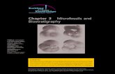 Chapter 3 Microfossils and Biostratigraphy - wiley.com · Chapter 3 Microfossils and Biostratigraphy FIGURE 3.1. ... While there are many types of tiny animals and microorganisms