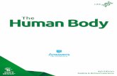 Human Body The€¦ ·  · 2016-07-214 The Skeletal System 18 5 Names of Bones ... Nerves & Senses 38 ... 8 • The Human Body LEsson 1 Body Overview. Self-portrait Read Genesis