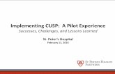 Implementing CUSP: A Pilot Experience - Atlantic Quality …atlanticquality.org/download/hospital-safety-ny/HANYS... ·  · 2017-05-08Implementing CUSP: A Pilot Experience Successes,