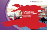 Wales - StepChange in the Red.pdf · 2 A number of factors have been analysed when looking at the scale of problem debt within Wales: • Demand for debt advice • Unsecured debt