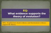 EQ: What evidence supports the theory of evolution?simonscience.weebly.com/.../evolution_evidence_ch_10.4_and_10.5.pdfKEY CONCEPT 10.4 Evidence of common ancestry among species comes