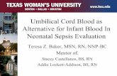 Umbilical Cord Blood as Alternative for Infant Blood In ...essentiavitae1.com/dnpPortfolio11/tBaker/Digital...Definition of Terms • Umbilical Cord Blood: – Blood drawn from a vein