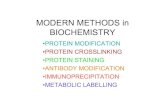 MODERN METHODS in BIOCHEMISTRY - unifr.ch · modern methods in biochemistry •protein modification •protein crosslinking •protein staining •antibody modification •immunoprecipitation