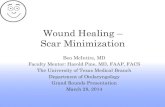 Wound Healing â€“ Scar Minimization .Wound Healing â€“ Scar Minimization Ben McIntire, MD ... â€“