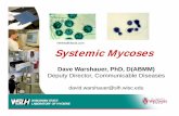 Systemic Mycoses Teleconference.ppt to that seen in tuberculosissimilar to that seen in tuberculosis. ... lb ib tblong bones, ribs, vertebrae –Joints ... Systemic Mycoses Teleconference.ppt