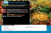 5B,7D, 8B, 8C 7B, 7D, 8B - Springtown ISD / Overvie · 2014-10-01 · 20.3 diversity of Flowering Plants 7B, ... Recall from the chapter Protists and Fungi that algae are plantlike