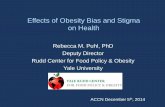 Effects of Obesity Bias and Stigma on Healthasn-cdn-remembers.s3.amazonaws.com/afda236be916cb3beb4d0c9d… · Effects of Obesity Bias and Stigma on ... at fault for their weight,