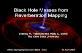 Black Hole Masses from Reverberation Mapping - STScI · Black Hole Masses from Reverberation Mapping ... Measuring the Masses of ... A plausible disk-wind concept