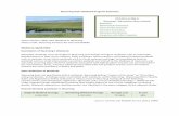 Wyoming State Wetland Program Summary · Wyoming State Wetland Program Summary ... Outdoor Recreation Plan that includes a chapter on ... Wyoming Department of Environmental Quality