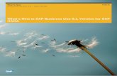 What's New in SAP Business One 9.1, Version for SAP HANA · What's New in SAP Business One ... always been part of the standard delivery for the India localization. ... Enhancements
