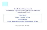 Intellectual Property and Technology Transfer – WIPO ... · Technology Transfer – WIPO Capacity Building Programs and Tools ... • Protected IP becomes a legal right, ... Patent
