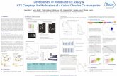 Development of Rubidium Flux Assay & HTS Campaign … · Development of Rubidium Flux Assay & HTS Campaign for Modulators of a Cation-Chloride Co-transporter Yang Wen 1, Doris Roth