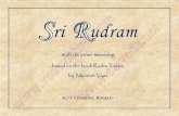 Photo pleine page - saiveda.net Tattva/livret de chant présentation EN... · In this chanting booklet, the text of the Sri Rudram is presented in RCCS format (Roman Coloured Coding