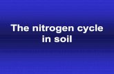 The nitrogencycle in soil - ung.simirjana/gradivo/ozvt/tla/Nitrogen cycle.pdf · Slide 8.4 Oxidation States of Soil N N Form Name Oxidation state organic-N -3 NH4+ ammonium -3 È