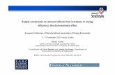 Supply constraints on rebound effects from increases in ... fileSupply constraints on rebound effects from increases in energy efficiency: the disinvestment effect European Conference