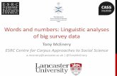 Words and numbers: Linguistic analyses of big …the-sra.org.uk/wp-content/uploads/mcenery.pdfWords and numbers: Linguistic analyses of big survey ... Word Collocates with a similar