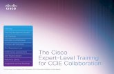 Performance Assessments The Cisco Expert-Level Training ... · Practice Lab Workbook Pre-Assessment Lab Performance Assessments Self-Paced Lessons Reference Library Suggested Learning