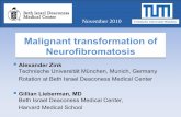 Malignant transformation of Neurofibromatosiseradiology.bidmc.harvard.edu/LearningLab/respiratory/zink.pdf · Malignant transformation of Neurofibromatosis ... Optic glioma ≥ 2