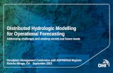 Distributed Hydrologic Modelling for Operational Forecasting · Distributed Hydrologic Modelling for Operational Forecasting ... Distributed Hydrologic Modelling for Operational Forecasting