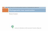 Phylogenetic tree construction - …costphytoplasma.ipwgnet.org/s/Bioinformatics school/Bojan... · Phylogenetic tree construction Bojan Duduk ... statistical method for obtaining