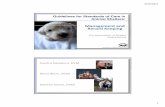Guidelines for Standards of Care in Animal Shelters · Guidelines for Standards of Care in ... Veterinary Care Staff Training Treatment ... • Download the Guidelines ...