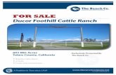 FOR SALE - The Ranch Company foothill cattle ranch 7.28...Tulare County, California • Beautiful Cattle Ranch • 4 Ponds • Private Entertainment Area FOR SALE A Tradition in Trust