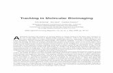 Tracking in Molecular Bioimaging - ImageScience.Org · Tracking in Molecular Bioimaging ... May 2006, pp. 46–53 A utomated ... structures being investigated intensively in biology