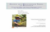 CAACCAAOO AANNDD NEE TR IINN ECCUUAADDOORR · Final Technical Report Cacao and Neighbour Trees in Ecuador Page 2 SUMMARY We visited 21 cacao farms in Ecuador in March 1999 and spoke
