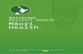 Wairarapa DHB Maori Health Profile 2015 · Web viewPaula Searle, Peter Himona, Te Taiawatea Moko-Mead, Li-Chia Yeh, Roimata Timutimu, Natalie Talamaivao from Te Kete Hauora, Ministry