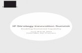 IP Strategy Innovation Summit - The Innovation · PDF fileThe IP Strategy Innovation summit brings ... who awarded him the Business Diversification Award for ... IP Strategy Innovation