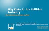 Big Data in the Utilities Industry · Big Data in the Utilities Industry ... •Teradata Platform ... largest opportunity for local peak load reduction