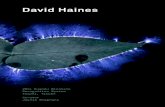 David Haines - Asialinkasialink.unimelb.edu.au/.../pdf_file/0016/2012353/David-Haines.pdfDavid Haines explores installation-based environments, ... Indonesian artist Syaiful Garibaldi