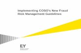 Implementing COSO’s New Fraud - eiseverywhere.com Establishment of a ... entity’s implementation of Principle 8 of the COSO ERM Framework ... insurance claims, extended investigations,