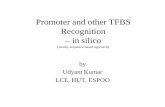 Promoter Recognition in silico - cs.helsinki.fi · Recognition – in silico ... of two steps Transcription: DNA àmRNA Events: DNA packing, DNA ... Giant (TFs mainely enhancers)