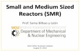 Small and Medium Sized Reactors (SMR) - 一般社団法 … Sama B...• Integral reactor • Passive safety • Used for electric and non-electric applications • Nuclear Safety