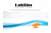 1 LabSim - Cerritos Collegeweb.cerritos.edu/scorbin/SitePages/server admin cis 213f 70-646... · 1 LabSim O N L I N E L A B S Browser LabSim Instructions for Students Content ORDERING