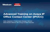 Advanced Training on Avaya IP Office Contact Center (IPOCC)ca.westcon.com/documents/54112/advanced_training_for_avaya_ip... · • “Software credits” for being an existing Avaya