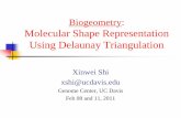 Biogeometry: Molecular Shape Representation Using …amenta/w11/cg-lectures.pdf · Biogeometry: Molecular Shape Representation Using Delaunay Triangulation Xinwei Shi xshi@ucdavis.edu