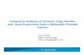 Integrative Analysis of Genomic Copy Number and Gene Expression Data in Metastatic ... · 2017-03-13 · and Gene Expression Data in Metastatic Prostateand Gene Expression Data in