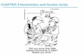 Nucleotides and Nucleic Acids - Web Publishing  and Nucleic Acids ... the two solutions are mixed and slowly cooled, ... Nucleotides and Nucleic Acids Biochemistry