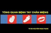 TỔNG QUAN BỆNH TAY CHÂN MIỆNG - bvag.com.vnbvag.com.vn/wp-content/uploads/2013/06/k2... · nhập viện và 78 ca tử vong vì BC thần kinh ... ngoại biên, sung huyết