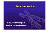 Basi, terminologia e modelli di trasmissionebiochimica.bio.uniroma1.it/didattica/grammatico/genetica2.pdf · L’informazione genetica contenuta nel DNA viene copiata ... Non si osserva