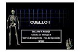 CUELLO I - dea.unsj.edu.ardea.unsj.edu.ar/biologia2/CUELLO I.pdf  cabeza Oblicuo menor de la cabeza