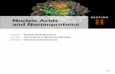 SECTION Nucleic Acids and Nucleoproteins · PDF file2011-03-09 · Nucleic Acids and Nucleoproteins II SECTION CHAPTER 4 Nucleic Acid Structure CHAPTER 5 Techniques in Molecular Biology