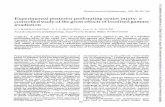 Experimentalposteriorperforating injury - British Journal …bjo.bmj.com/content/bjophthalmol/70/8/561.full.pdfBritishJournalofOphthalmology, 1986,70, 561-569 Experimentalposteriorperforatingocularinjury: