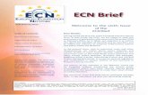 ECN Brief - European Commissionec.europa.eu/competition/ecn/brief/01_2011/brief_01_2011.pdf · Dear Reader, Having closed the first year of the ECN Brief with the Special Issue “A